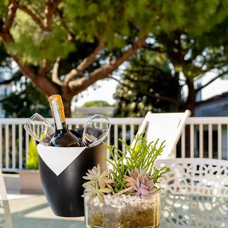 Terrace -m3 Apartment